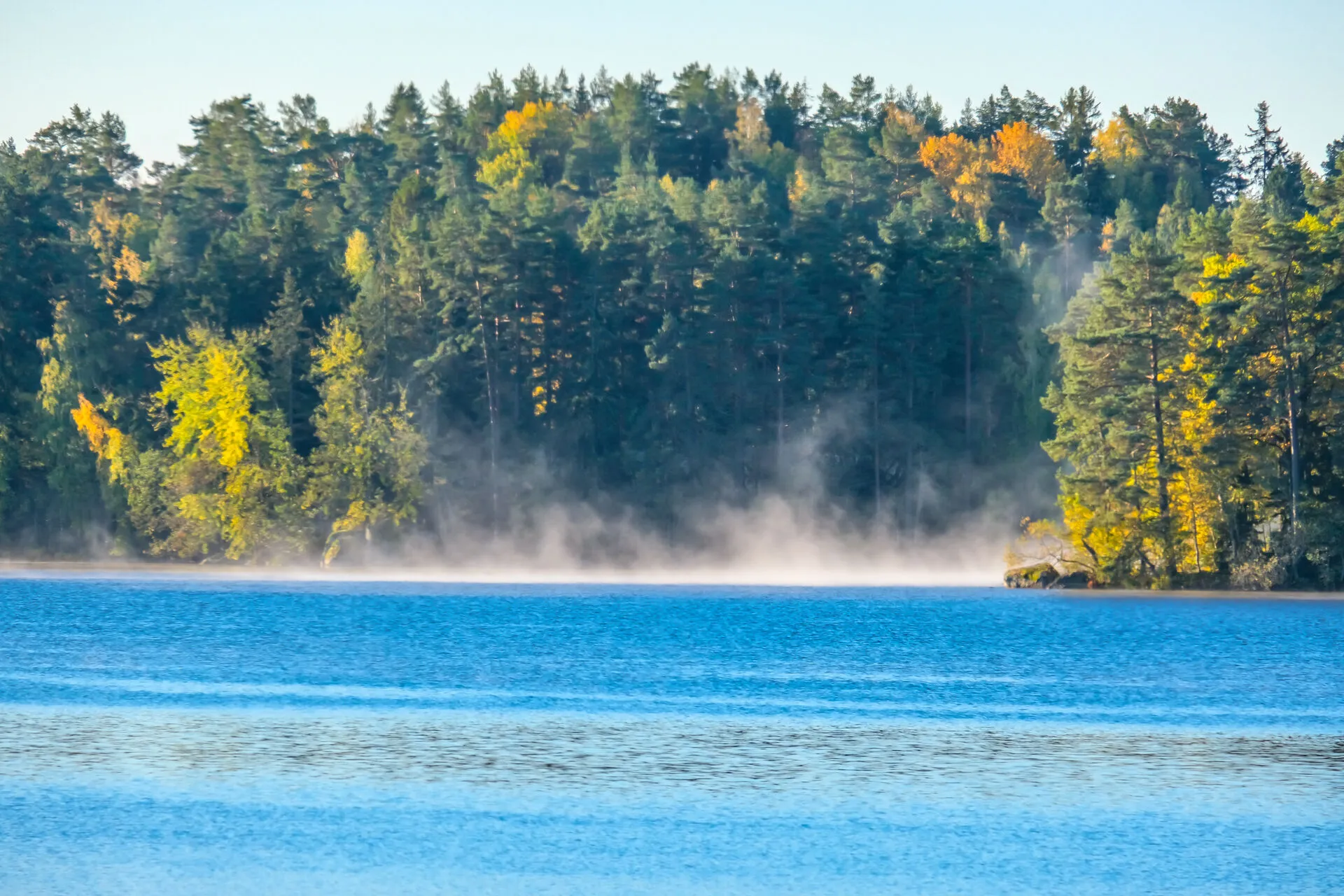 Mist over a lake in autumn colours