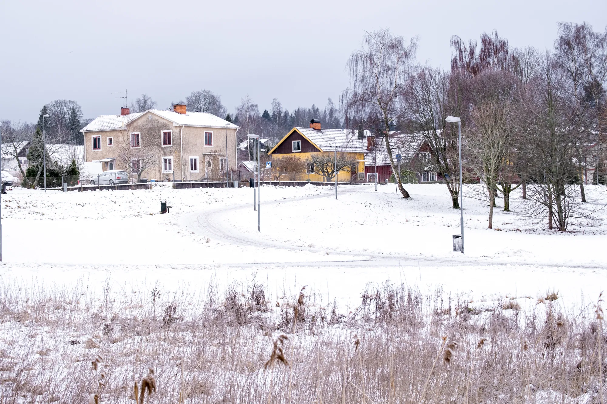 Ett gult och ett rött bostadshus vid en snötäckt slingrande väg med vass i förgrunden.